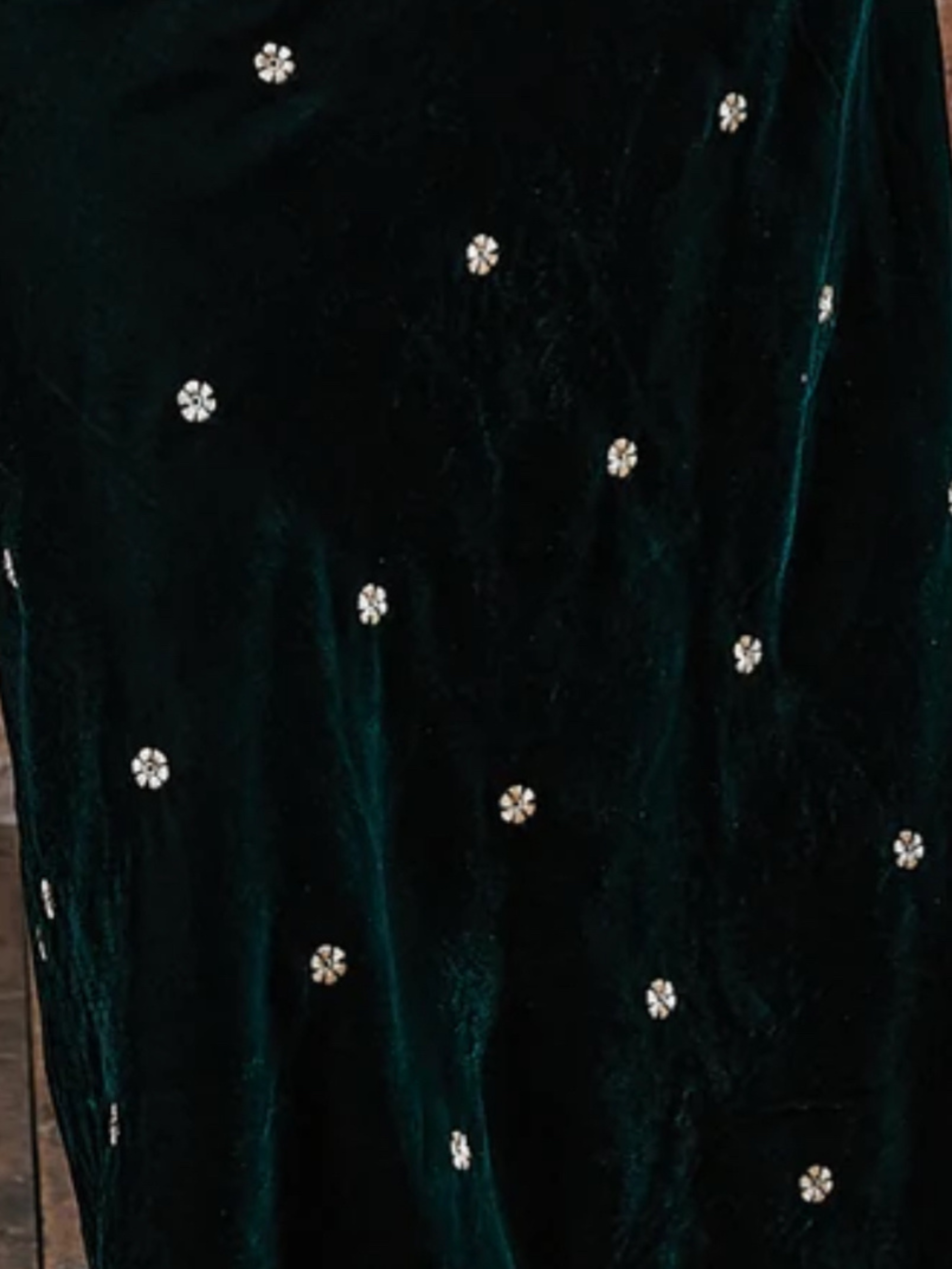 Sara Green Daisy Embroidered Velvet Dress
